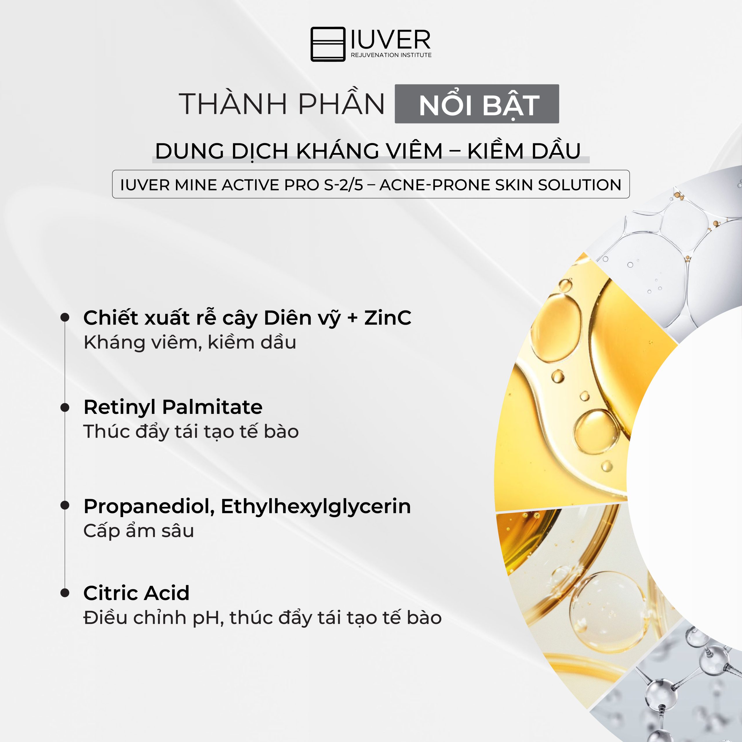 Thành phần nổi bật - DUNG DỊCH KHÁNG VIÊM – KIỀM DẦU (S-2/5)